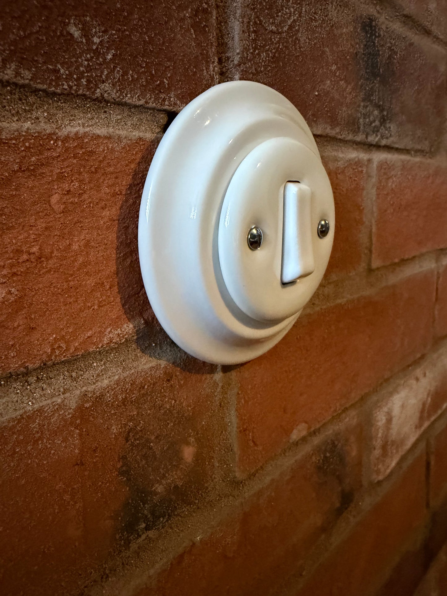 Polar White 1 Gang Porcelain Light Switch